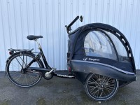 CARGO WINTHER KONGAROO