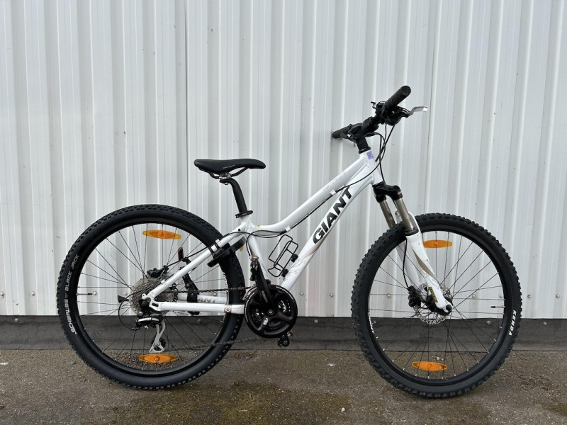 MOUNTAINBIKE GIANT NR. 123