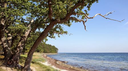 Sandskredet - ein idyllisches Ziel 